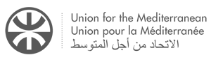 logo-union-mediterranean